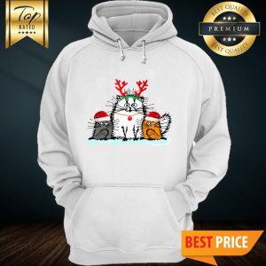 Cats Merry Christmas Merry Fluffmas Hoodie