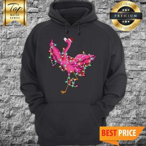 Flamingo Light Santa Color Christmas Hoodie