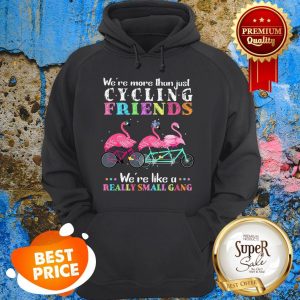 Nice Flamingos We’re More Than Just Cycling Friends Really Small Gang Hoodie