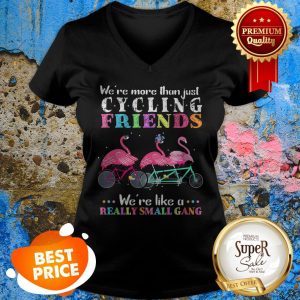 Nice Flamingos We’re More Than Just Cycling Friends Really Small Gang V-neck