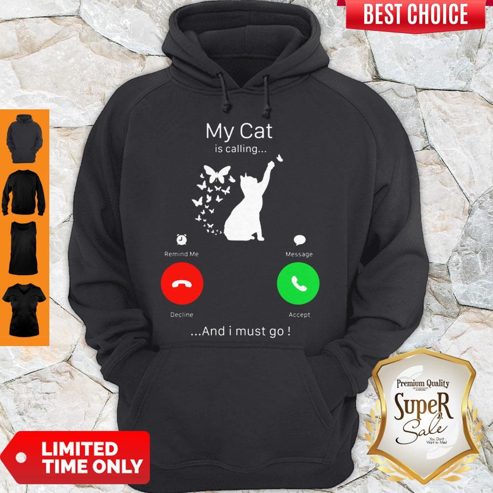 Perfect My Cat Is Calling Decline Accept And I Must Go Hoodie Perfect My Cat Is Calling Decline Accept And I Must Go Hoodie