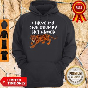 Top I Have My Own Grumpy Cat Named Tiger Hoodie