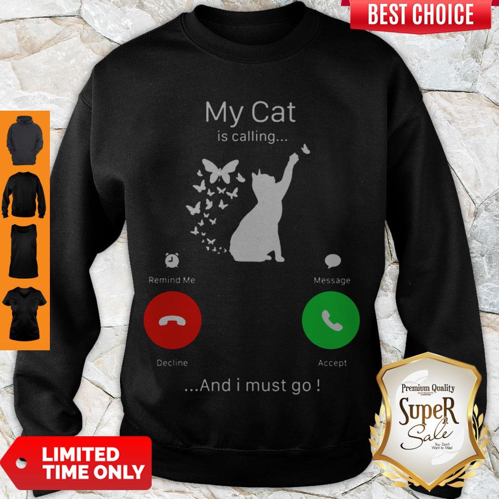 Perfect My Cat Is Calling Decline Accept And I Must Go Sweatshirt Perfect My Cat Is Calling Decline Accept And I Must Go Sweatshirt