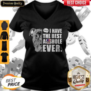 Pitbull I Have The Best Asshole Ever American Flag V-neck