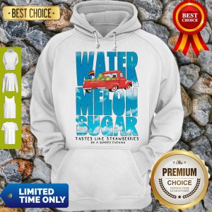 Watermelon Sugar Tastes Like Strawberries On A Summer Evening Hoodie