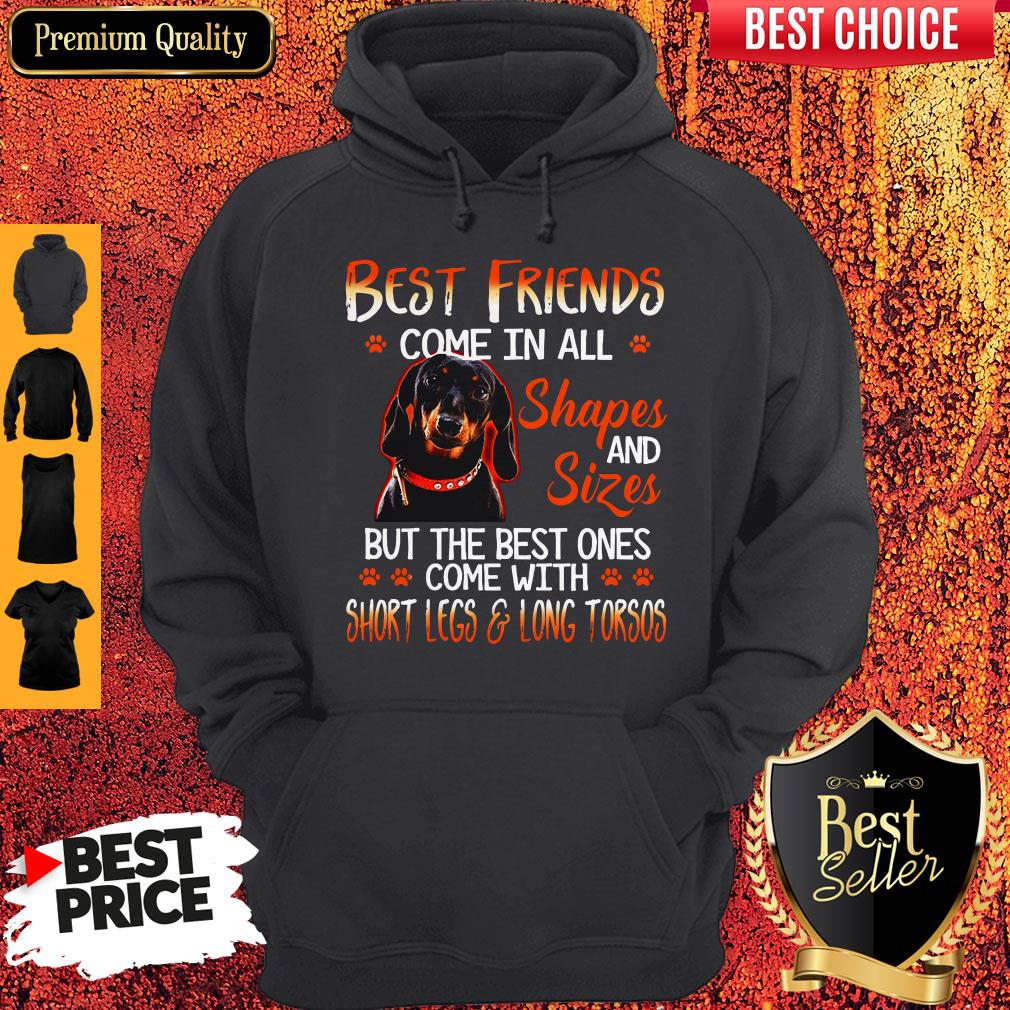 Dachshund Best Friends Come In All Shapes And Sizes Hoodie Dachshund Best Friends Come In All Shapes And Sizes Hoodie