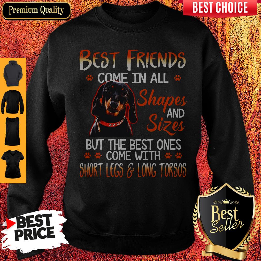 Dachshund Best Friends Come In All Shapes And Sizes Sweatshirt Dachshund Best Friends Come In All Shapes And Sizes Sweatshirt