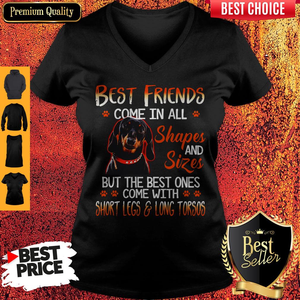 Dachshund Best Friends Come In All Shapes And Sizes V-neck Dachshund Best Friends Come In All Shapes And Sizes V-neck