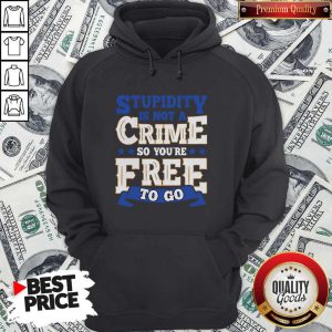Nice Stupidity Is Not A Crime So You’re Free To Go Hoodie