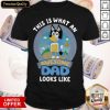 Bluey This Is What An Awesome Dad Looks Like Shirt