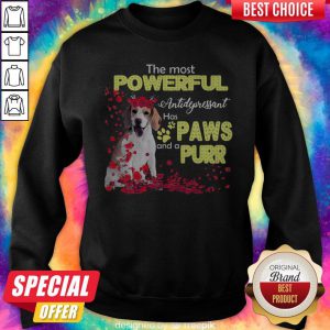 Funny The Most Powerful Antidepressant Has Paws And A Purr Sweatshirt