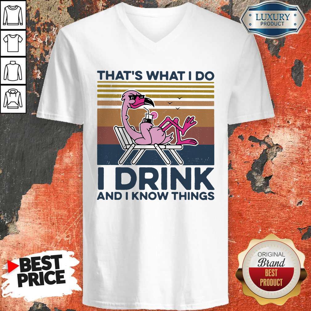 Great Thats What I Do I Drink And I Know Things Flamingo Vintage Retro V-neck