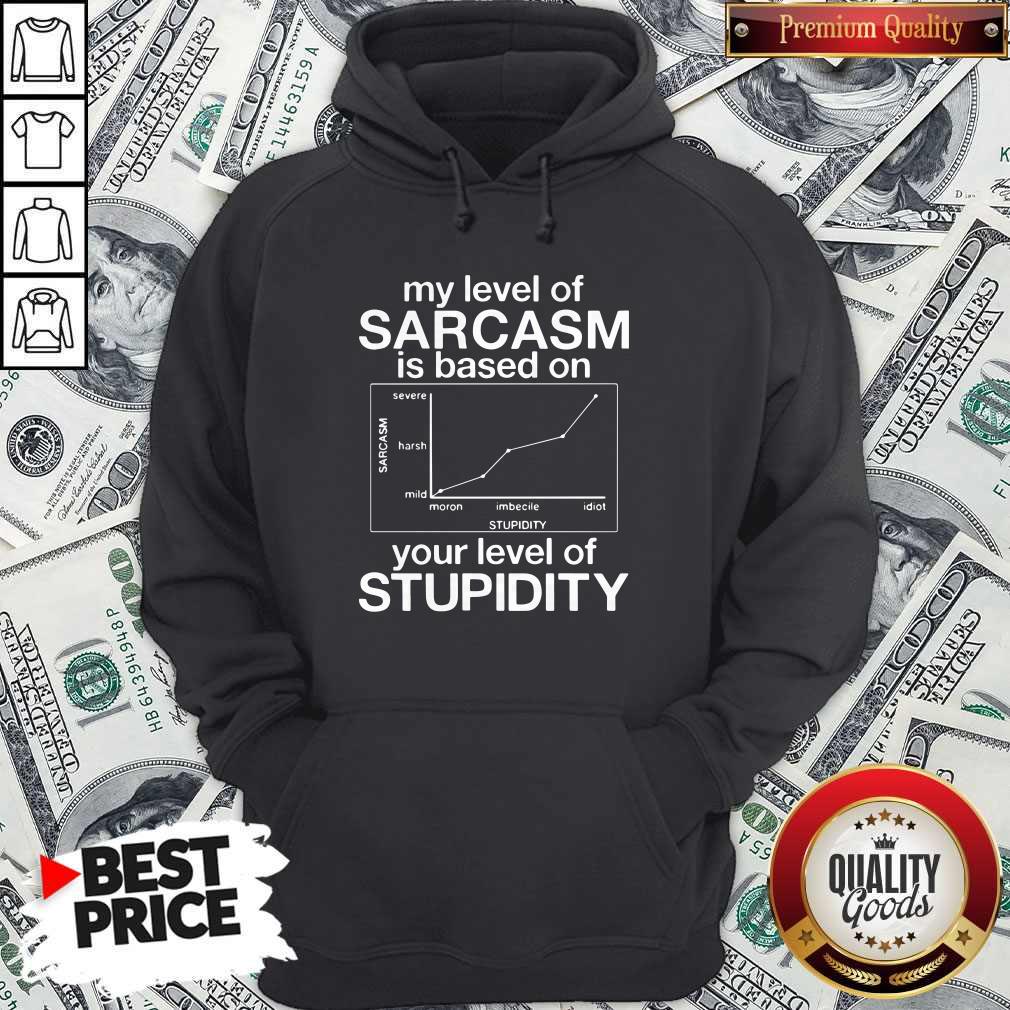 Pro My Level Of Sarcasm Is Based On Your Level Of Stupidity Severe Harsh Mild Hoodie