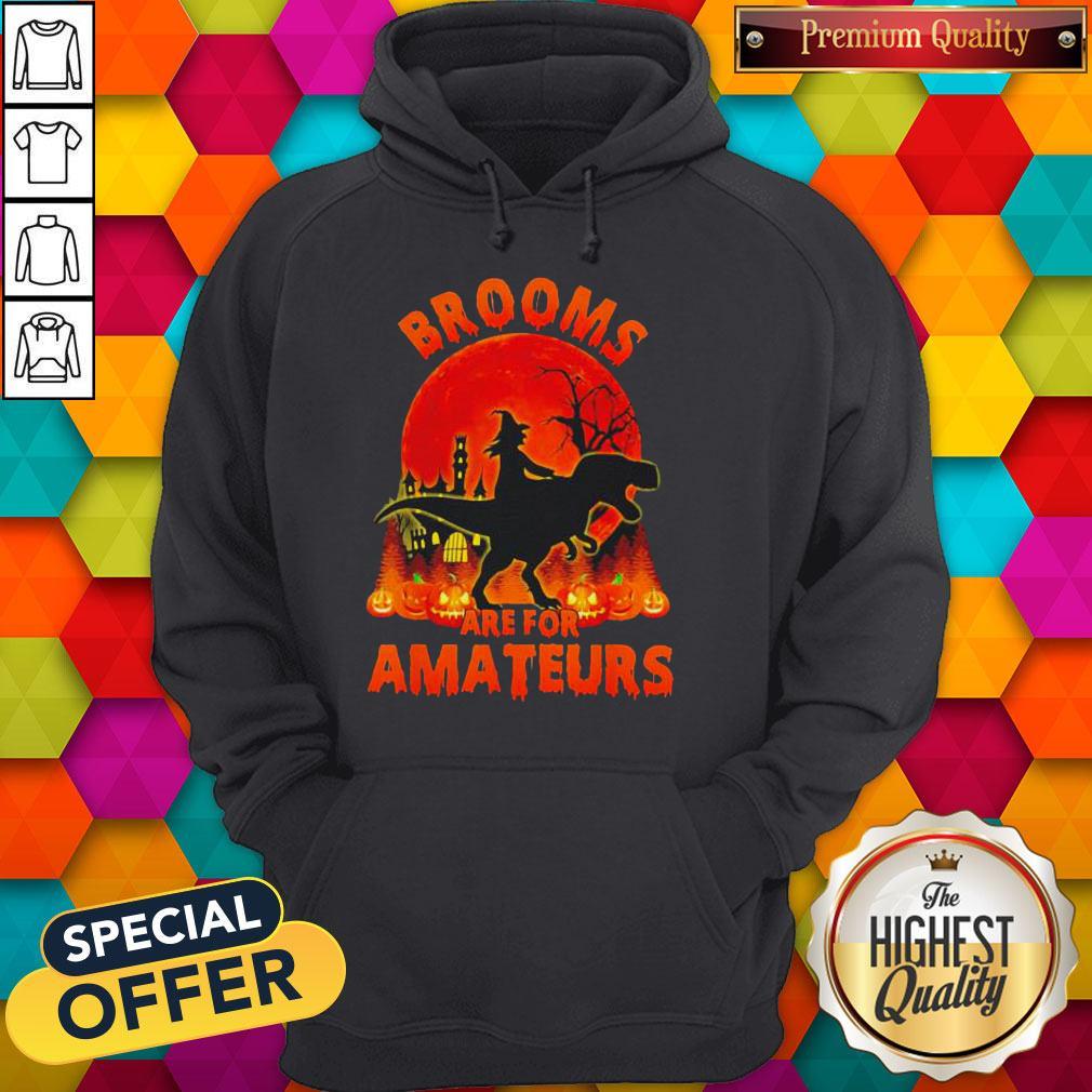 Pro Witch Riding Dinosaurs Brooms Are For Amateurs Halloween Hoodie