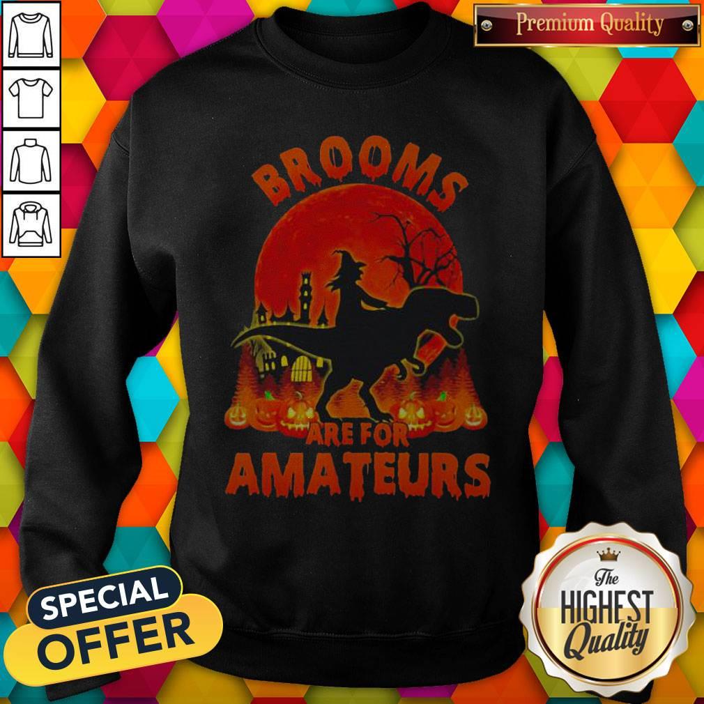 Pro Witch Riding Dinosaurs Brooms Are For Amateurs Halloween Sweatshirt
