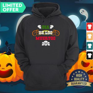 Day Of Dead Dia De Muertos Sugar Skull Hoodie