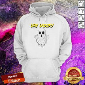 Witch Bitch Stay Spooky Funny Halloween 2020 Hoodie