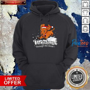 Dachshund Through The Snow Hoodie