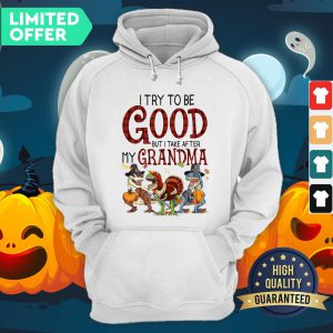 Dinosaur I Try To Be Good But I Take After My Grandma Hoodie