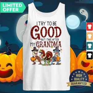 Dinosaur I Try To Be Good But I Take After My Grandma Tank Top