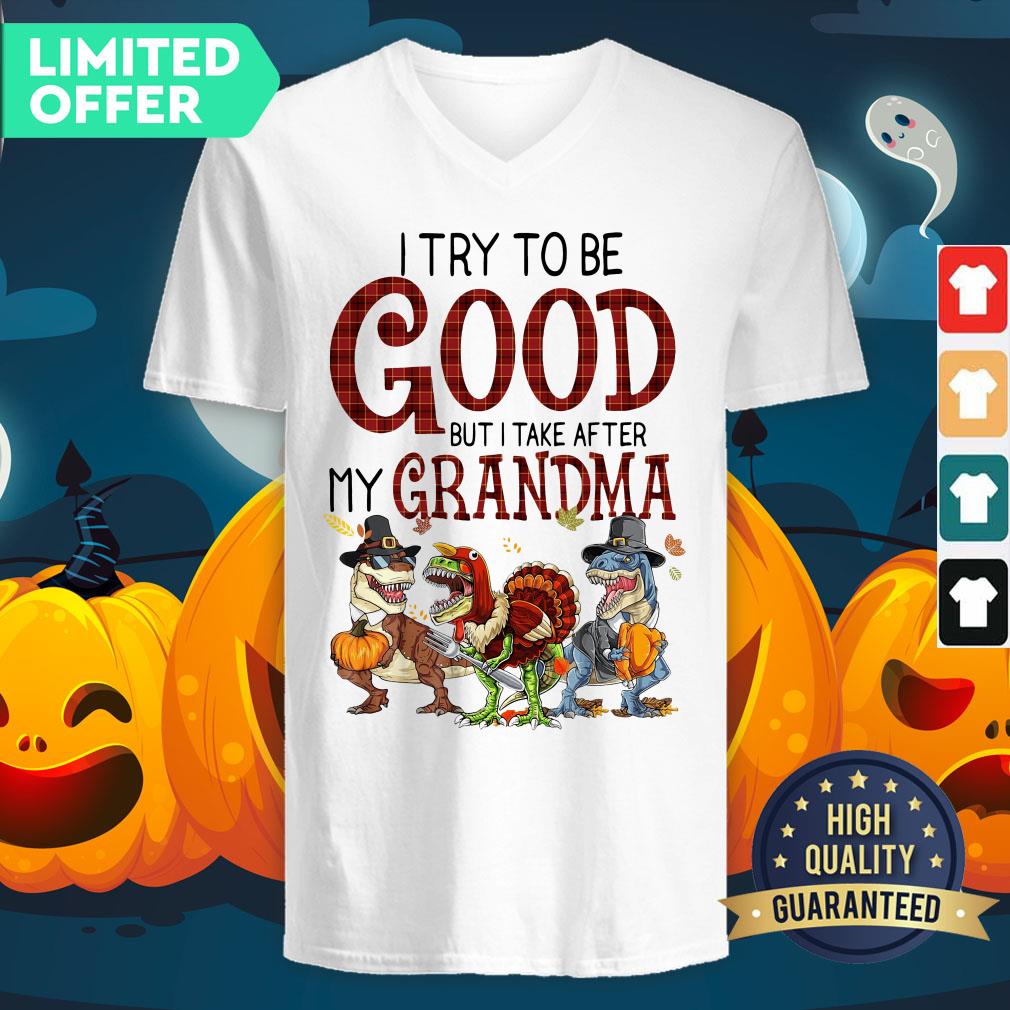Dinosaur I Try To Be Good But I Take After My Grandma V-neck