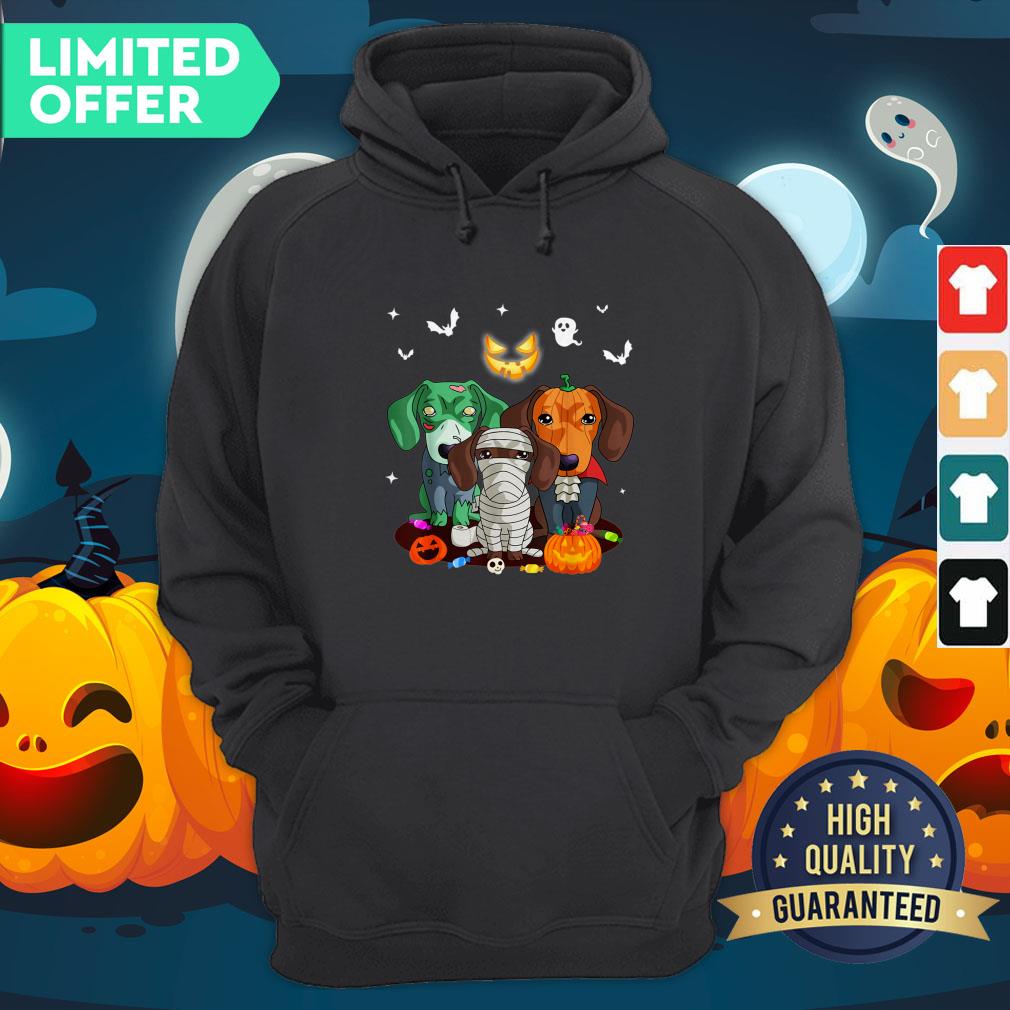 Official Dachshund Friend Halloween Hoodie