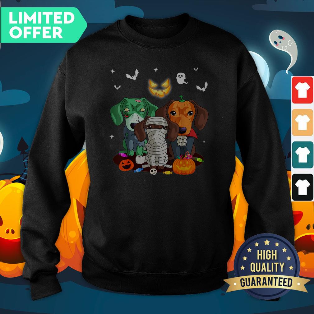 Official Dachshund Friend Halloween Sweatshirt