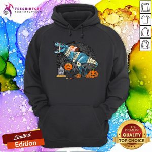 Official Guinea Pig Riding Mummy T Rex Dino Funny Halloween Costume Hoodie