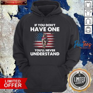 Pitbull American Flag If You Don'T Have One You'Ll Never Understand Hoodie