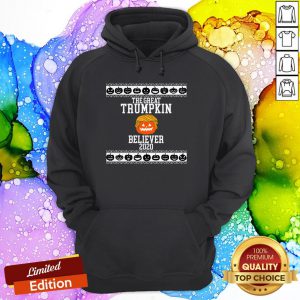 The Great Trumpkin Believer 2020 Vintage Hoodie
