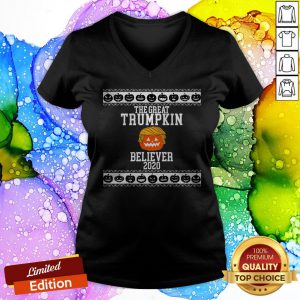 The Great Trumpkin Believer 2020 Vintage V-neck