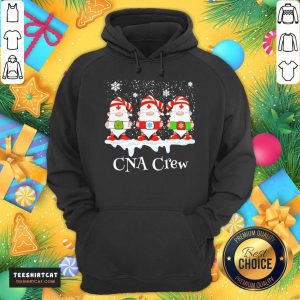 Gnome Nurse CNA Crew Merry Christmas 2020 Hoodie- Design By Teeshirtcat.com