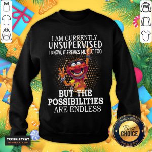 Hot Muppets I Am Currently Unsupervised I Know It Freaks Me Out Too But The Possibilities Are Endless T-Sweatshirt- Design By Teeshirtcat.com