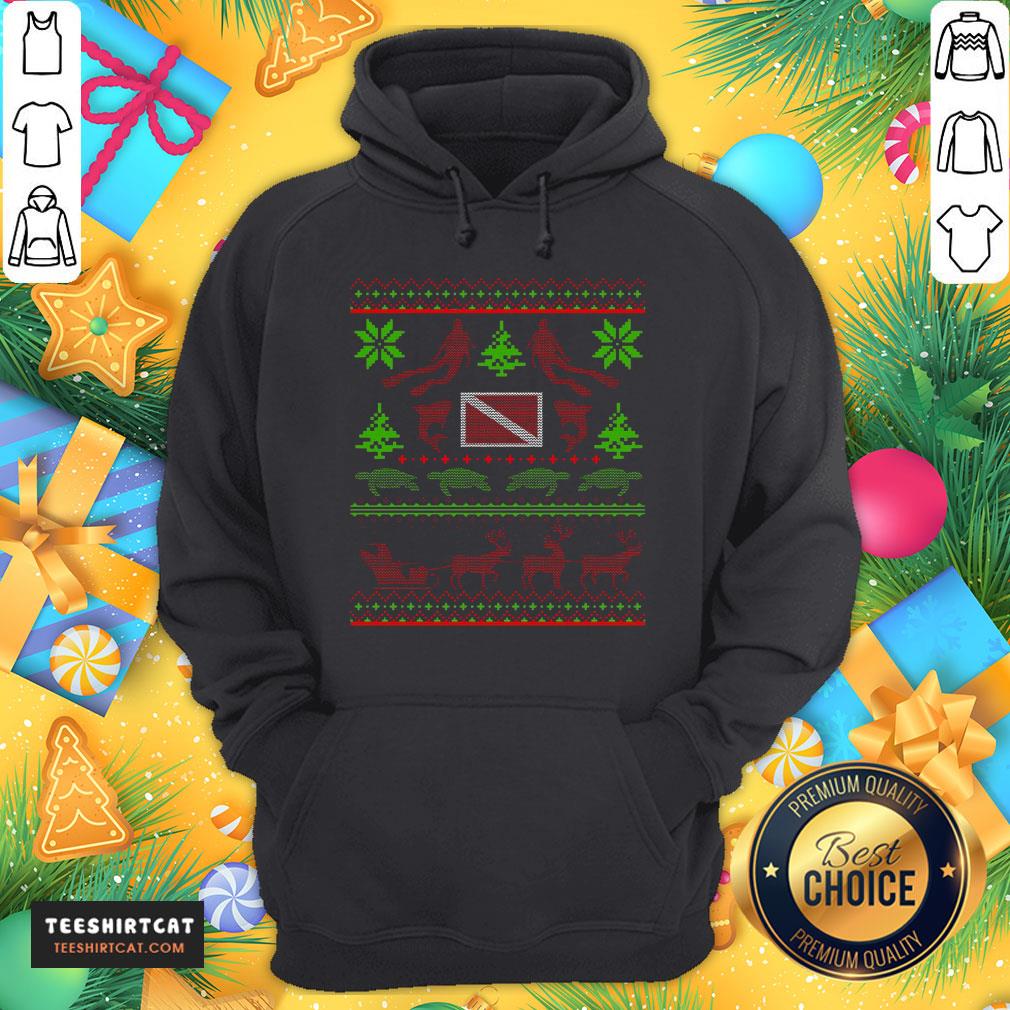 Nice Swim Turtle Ugly Christmas Hoodie- Design By Teeshirtcat.com Nice Swim Turtle Ugly Christmas Hoodie- Design By Teeshirtcat.com