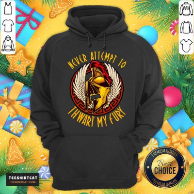 Never Attempt To Thwart My Fury Hoodie- Design By Teeshirtcat.com Never Attempt To Thwart My Fury Hoodie- Design By Teeshirtcat.com