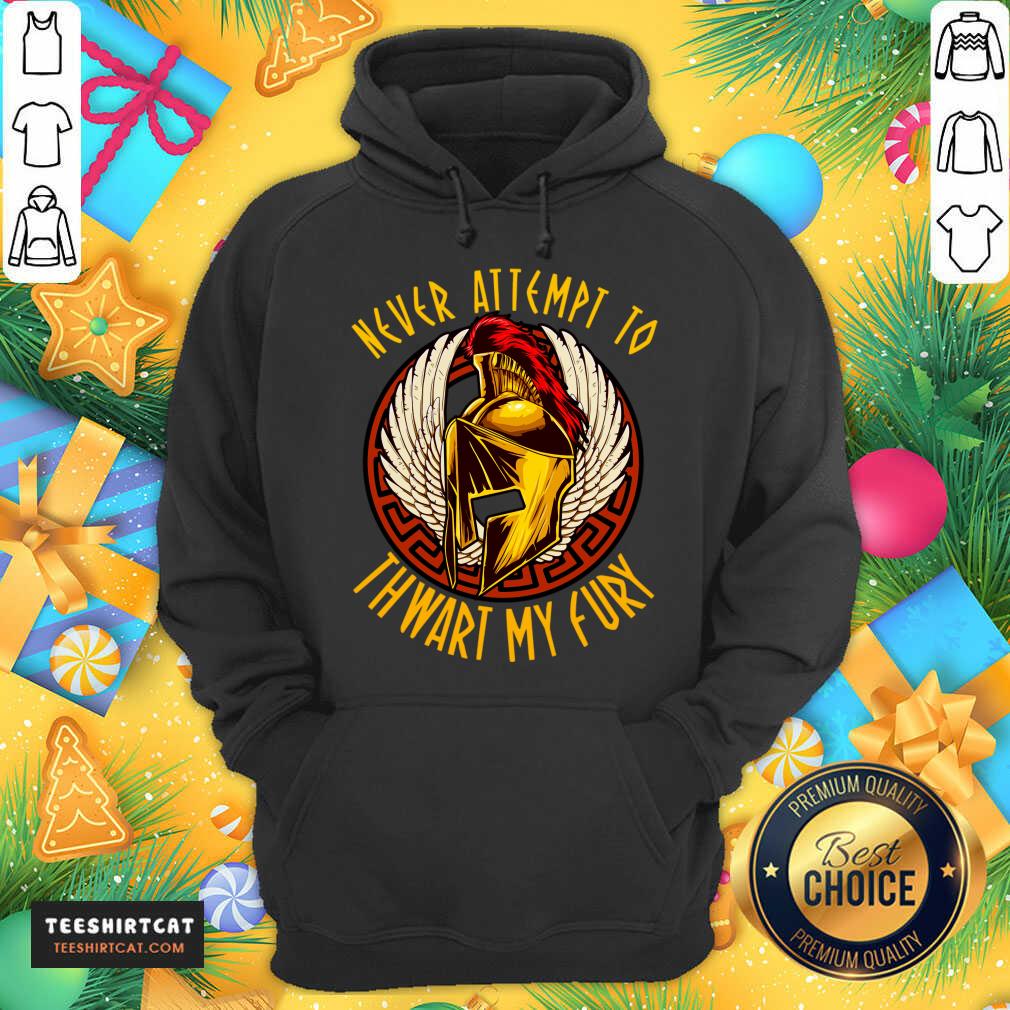 Never Attempt To Thwart My Fury Hoodie- Design By Teeshirtcat.com