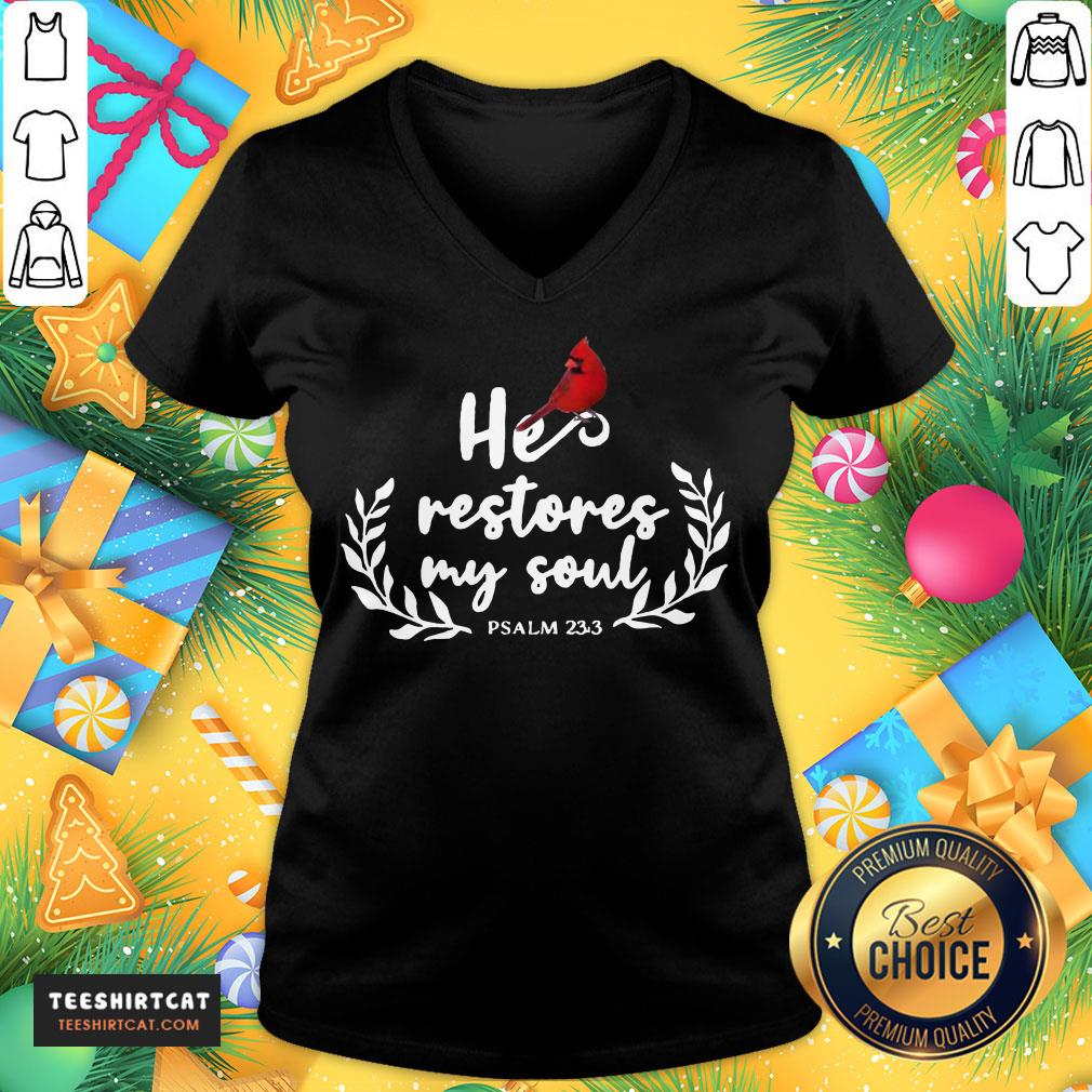 Perfect Bird He Restores My Soul Psalm 23 3 V Neck- Design By Teeshirtcat.com Perfect Bird He Restores My Soul Psalm 23 3 V Neck- Design By Teeshirtcat.com