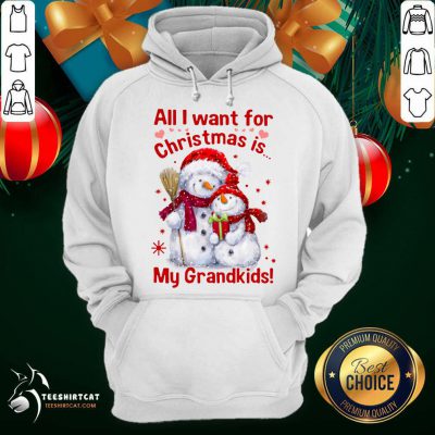 Snowman All I Want For Christmas Is My Grandkids Hoodie- Design By Teeshirtcat.com Snowman All I Want For Christmas Is My Grandkids Hoodie- Design By Teeshirtcat.com