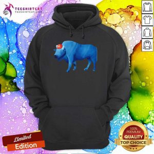 Vintage Buffalo Bills Hoodie - Design By Teeshirtcat.com