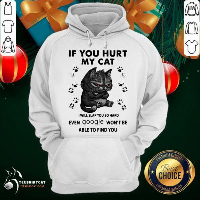 If You Hurt My Cat I Will Slap You So Hard Even Google Won't Be Able To Find You Hoodie - Design By Teeshirtcat.com If You Hurt My Cat I Will Slap You So Hard Even Google Won't Be Able To Find You Hoodie - Design By Teeshirtcat.com