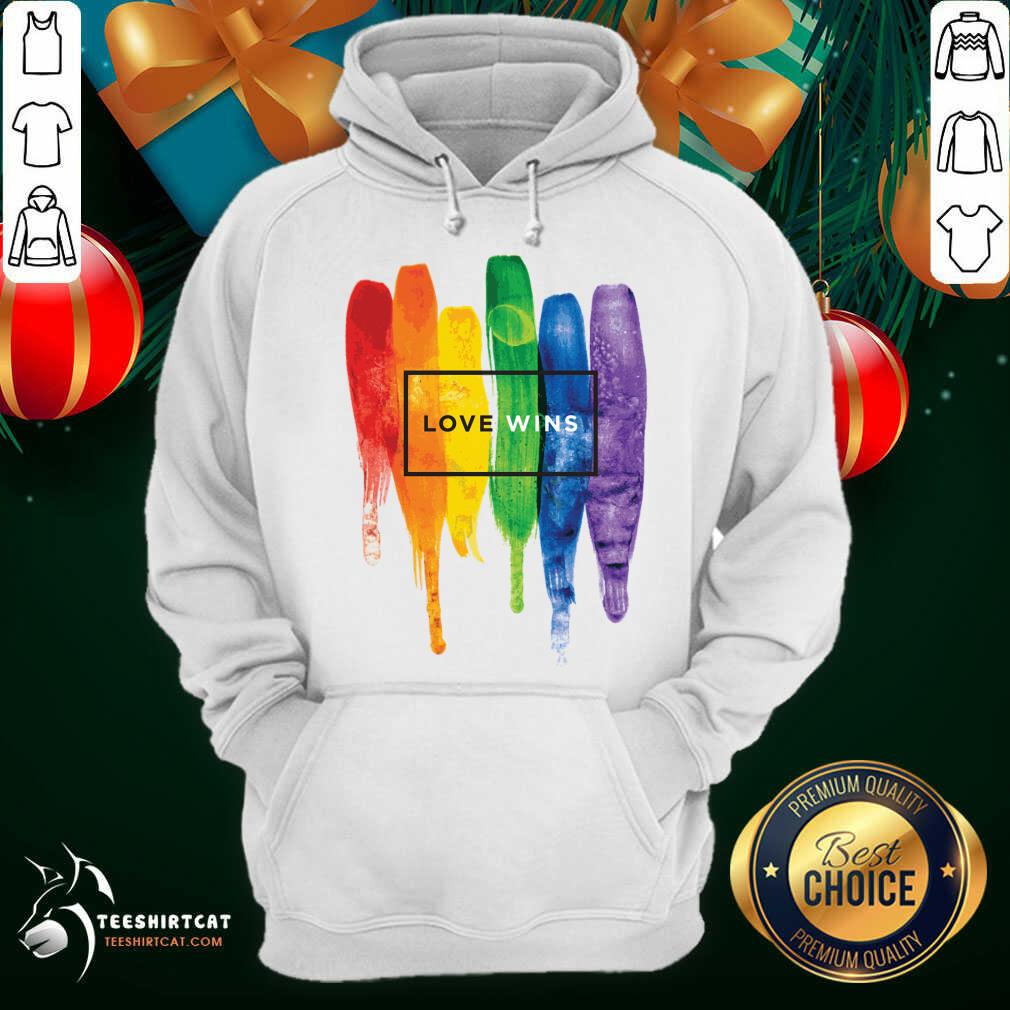 LGBT Love Wins Hoodie- Design By Teeshirtcat.com