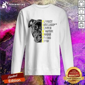 Pit Bull Perfect Intelligent Tender Beautiful Unique Loving Loyal Sweatshirt