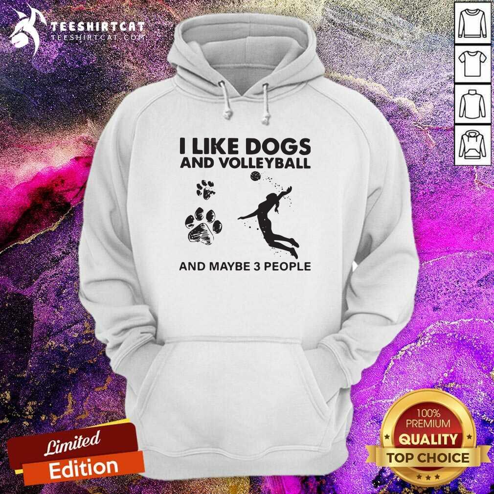 I Like Dogs And Volleyball And Maybe 3 People Hoodie I Like Dogs And Volleyball And Maybe 3 People Hoodie