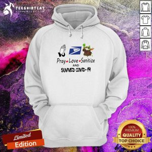 Pray Love Sanitize Baby Yoda Fight Coronavirus And Survived Covid19 Hoodie