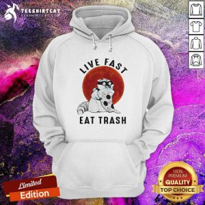 Fox Live Fast Eat Trash Vintage Hoodie