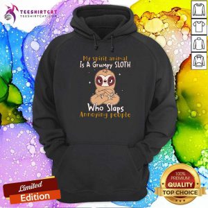 Lovely My Spirit Animal Is A Grumpy Sloth Who Slaps Annoying People Hoodie