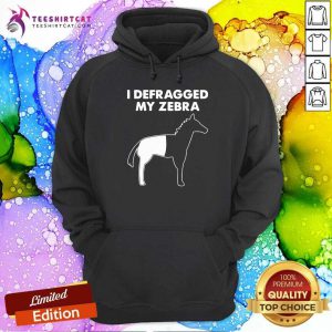 Original I Defragged My Zebra Hoodie