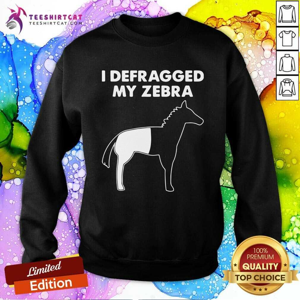 Original I Defragged My Zebra Sweatshirt Original I Defragged My Zebra Sweatshirt