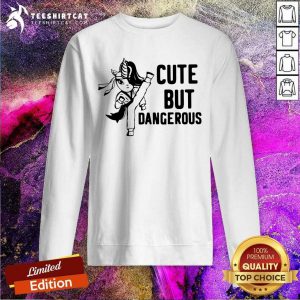 Colorful Cute But Dangerous Unicorn Sweatshirt