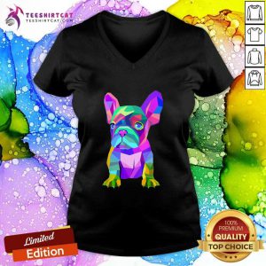 Cute French Bulldog Colorful V-neck
